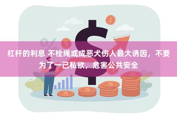 杠杆的利息 不栓绳或成恶犬伤人最大诱因，不要为了一己私欲，危害公共安全