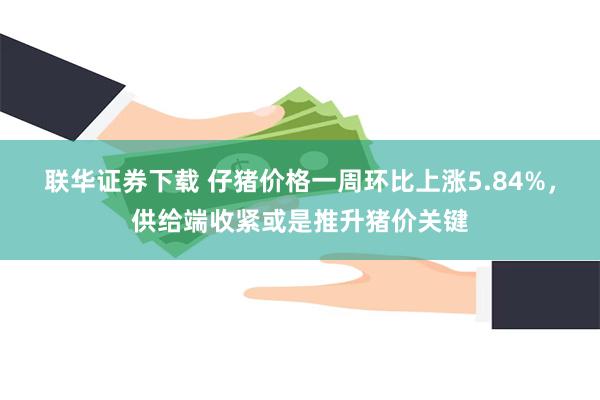 联华证券下载 仔猪价格一周环比上涨5.84%，供给端收紧或是推升猪价关键