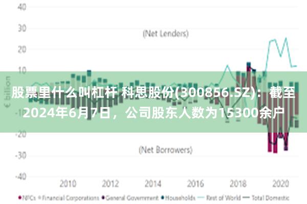 股票里什么叫杠杆 科思股份(300856.SZ)：截至2024年6月7日，公司股东人数为15300余户