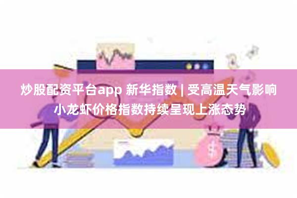 炒股配资平台app 新华指数 | 受高温天气影响 小龙虾价格指数持续呈现上涨态势