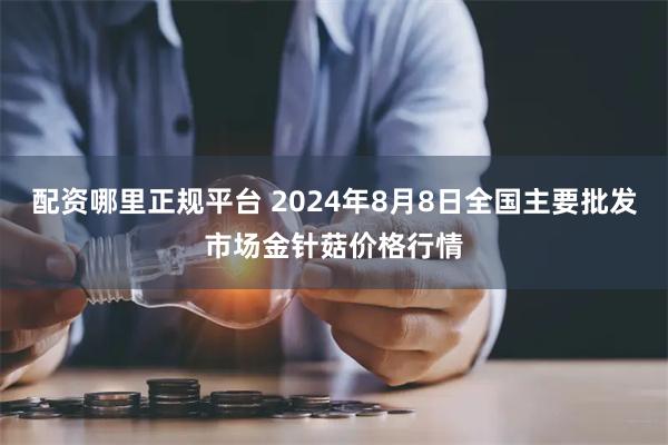 配资哪里正规平台 2024年8月8日全国主要批发市场金针菇价格行情