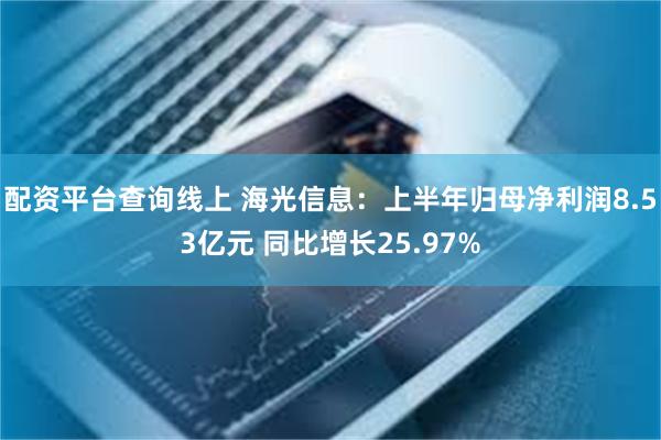 配资平台查询线上 海光信息：上半年归母净利润8.53亿元 同比增长25.97%