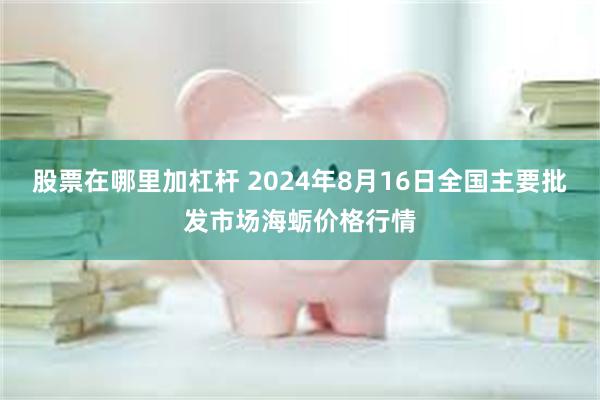 股票在哪里加杠杆 2024年8月16日全国主要批发市场海蛎价格行情