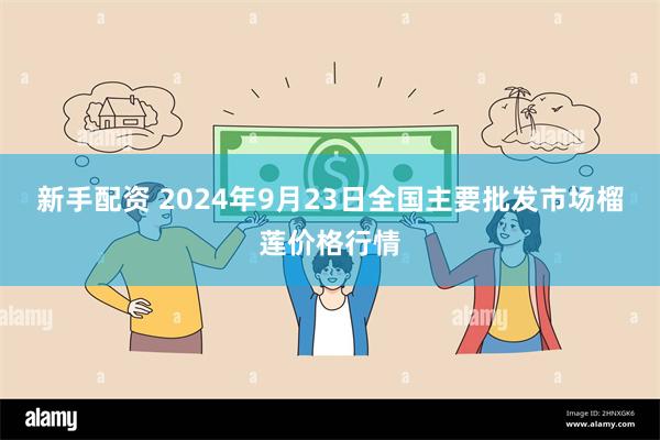 新手配资 2024年9月23日全国主要批发市场榴莲价格行情