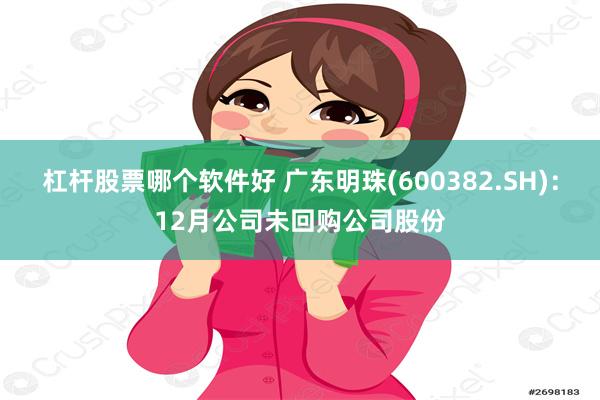 杠杆股票哪个软件好 广东明珠(600382.SH)：12月公司未回购公司股份